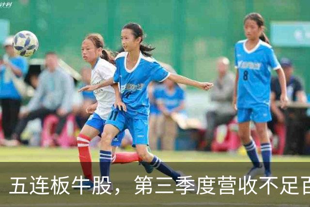五连板牛股，第三季度营收不足百万，跌停开盘
