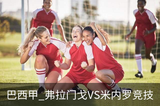巴西甲 弗拉门戈VS米内罗竞技