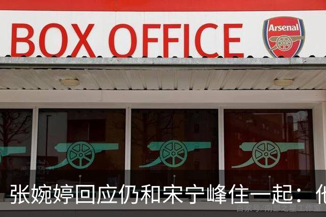 张婉婷回应仍和宋宁峰住一起：他负责带娃，她负责赚钱