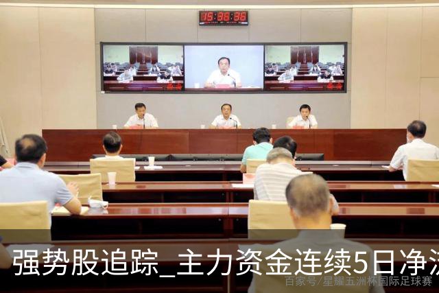 强势股追踪 主力资金连续5日净流入137股
