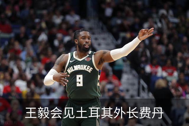 王毅会见土耳其外长费丹