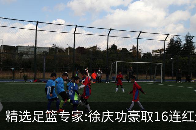 精选足篮专家:徐庆功豪取16连红还中足彩头奖52万